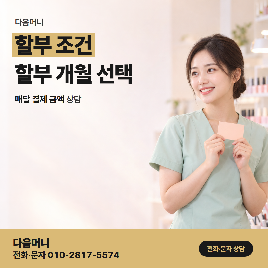 다음머니 부산카드깡 한도에 맞춰 개월을 나눈 결제